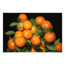 Oranges