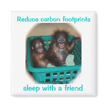 Orangutan Advice Carbon Footprints