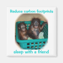 Orangutan Advice Carbon Footprints Magnets