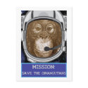 Orangutan Animal Mission postcards