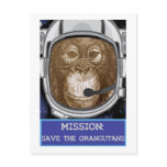 Orangutan Animal Mission postcards