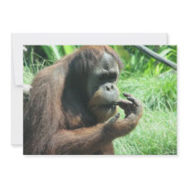 Orangutan Ape Invitation