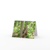 Orangutan Appreciation Day Tribute Card