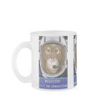Orangutan Astronaut Mission mugs