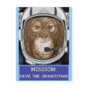 Orangutan Astronaut Mission postcards