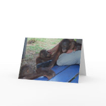 Orangutan Babies Need a Mummy Greeting Cards