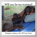 Orangutan Babies Want a Mummy posters