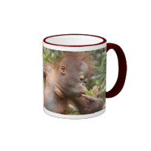Orangutan Baby in Borneo Coffee Mug