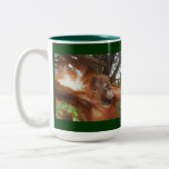 Orangutan & Borneo Jungle Wildlife-supporter Mug