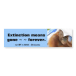Orangutan Bumper Stickers
