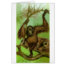 Orangutan Greeting Card