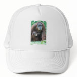 Orangutan Family  Baseball Hat