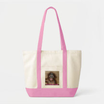 Orangutan Fan Bag