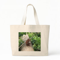 Orangutan Forgets Canvas Bags