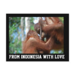 Orangutan Greetings from Indonesia with Love