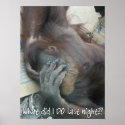 Orangutan Hangover Poster posters