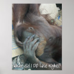 Orangutan Hangover Poster posters