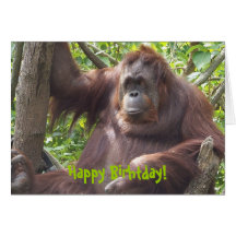 Orangutan Happy Birhtday! Card