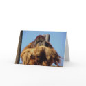 Orangutan Happy Birthday Template Card
