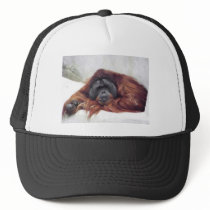 Orangutan Hat