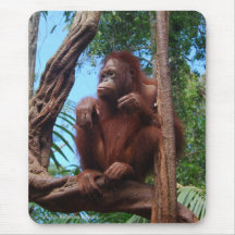 Orangutan in Sunshine Mousepad