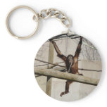 orangutan keychain