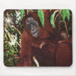 Orangutan Mother & Baby Wildlife-support Mousepad