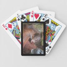 Orangutan Mother, New Baby in Forest Playing Cards