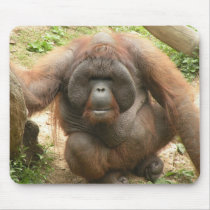 Orangutan Mousepad