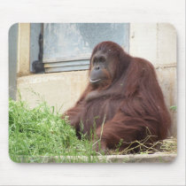 Orangutan Portrait Mousepad