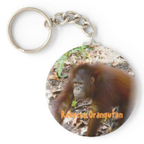 Orangutan Rebecca in Borneo
