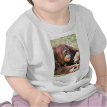 Orangutan Reclining T Shirt