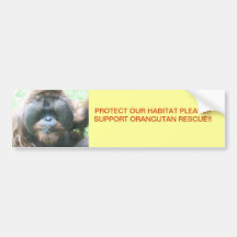Orangutan RESCUE BUMPER STICKER