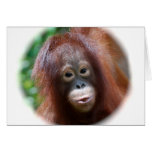 Orangutan Toddler Greeting Card