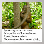 Orangutan Tribute posters