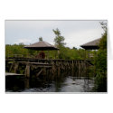 Orangutan Wildlife Welcoming Committee, Indonesia cards