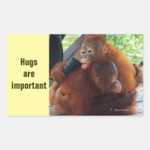 Orangutans Know Hugs Are Important Rectangle Stickers