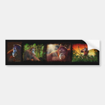 ORANGUTANS Wildlfe Primate Set of Multistickers Bumper Stickers