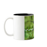 Orb Spider Mugs