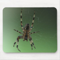 Orb World Wide Web Spider Mousepads