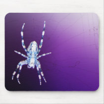 Orb World Wide Web Spider Mousepads