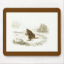 Orbigny - American Toad - Engystoma ovale Mouse Pad