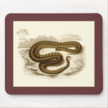Orbigny - Elephant-trunk Snake mousepads