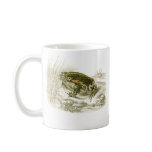 Orbigny - Green Toad - Bufo viridis B/store Promo mugs