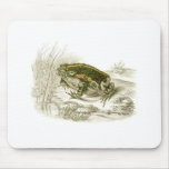 Orbigny - Green Toad - Bufo viridis mousepads