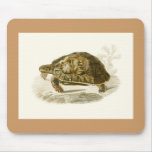 Orbigny - Tortoise - Testudo mauritanica mousepads