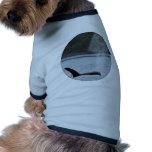 Orca Breath: BIG pet clothing