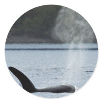 Orca Breath: BIG Stickers