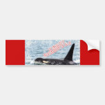 Orca Christmas Winter Wonderland Holiday Bumper Sticker
