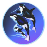 Orca Family Sticker